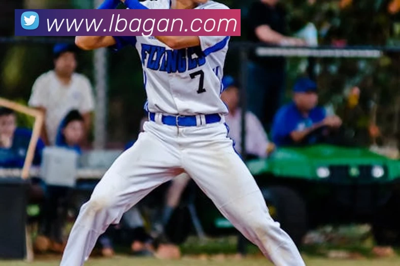 星空体育平台生态图